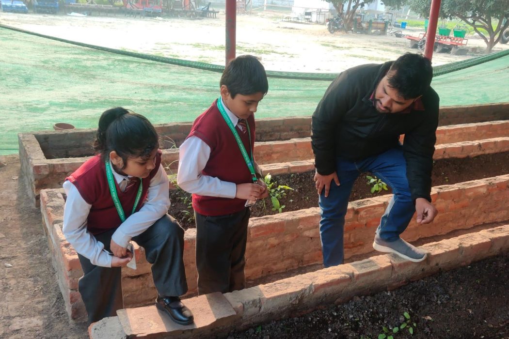 Environment Sustainability - Organic Farming